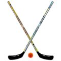 Best Hockey Sticks for Beginners